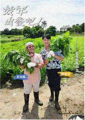 桥下绿地放映沉默采样